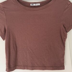 Zara Mauve Short Sleeve Crop Top